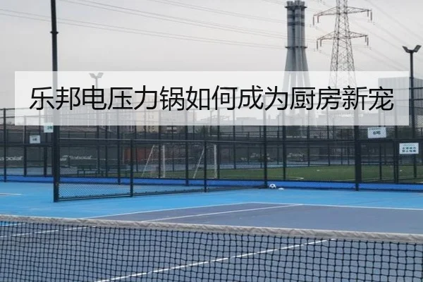 乐邦电压力锅如何成为厨房新宠