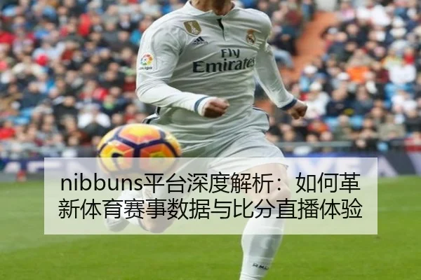 nibbuns平台深度解析：如何革新体育赛事数据与比分直播体验