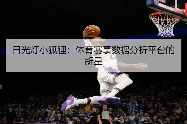 日光灯小狐狸：体育赛事数据分析平台的新星